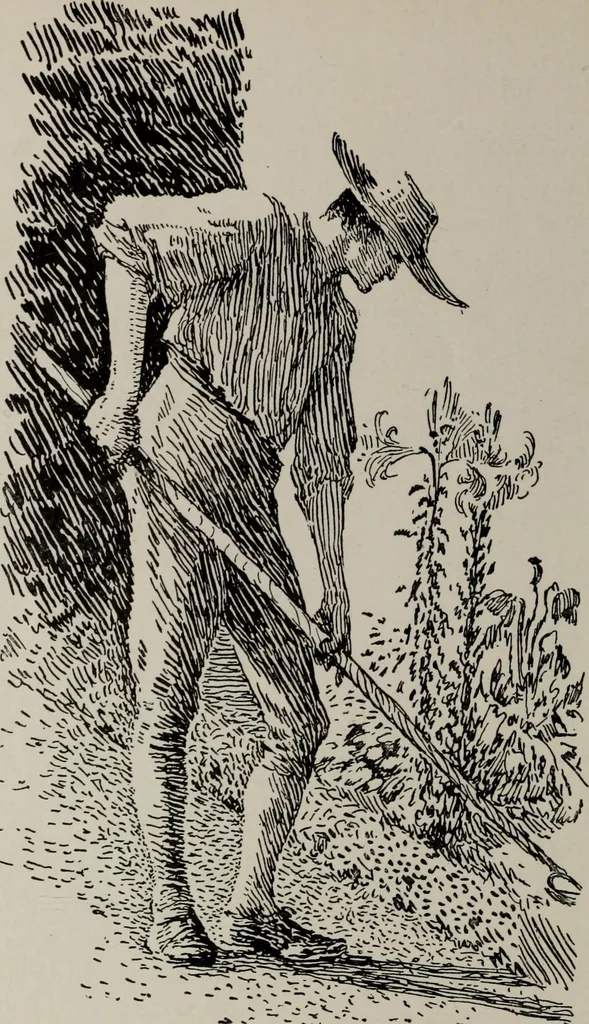 An illustration from Line & form, 1921, leaf 207