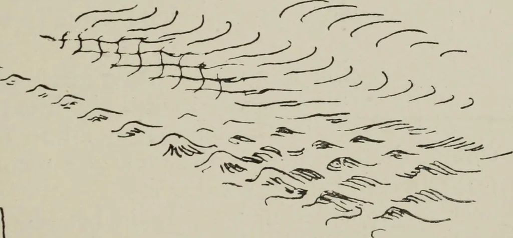 An illustration from Line & form, 1921, leaf 240