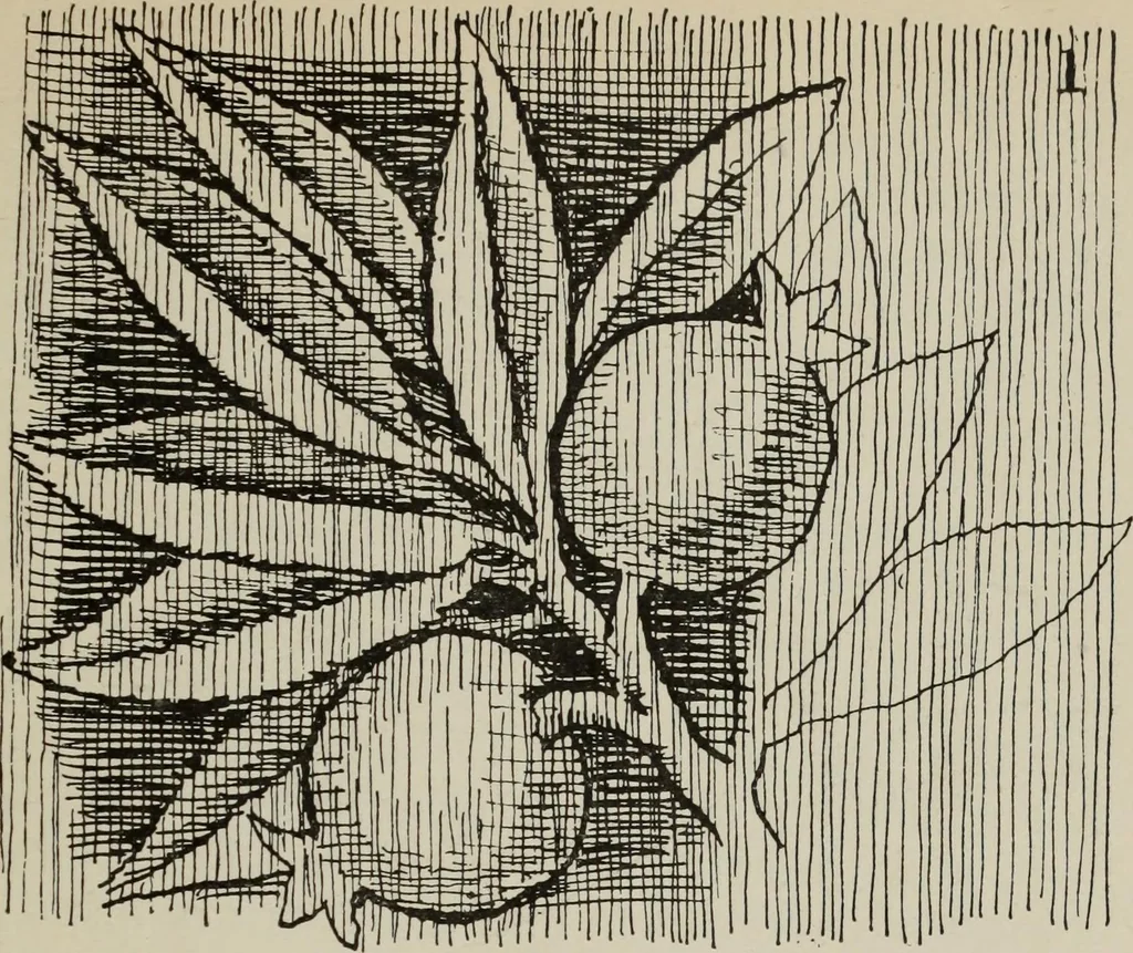 An illustration from Line & form, 1921, leaf 266