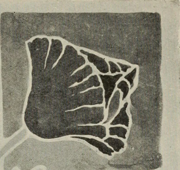 An illustration from Line & form, 1921, leaf 276