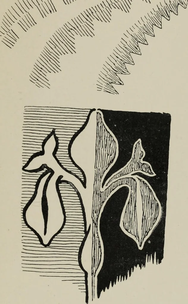 An illustration from Line & form, 1921, leaf 278