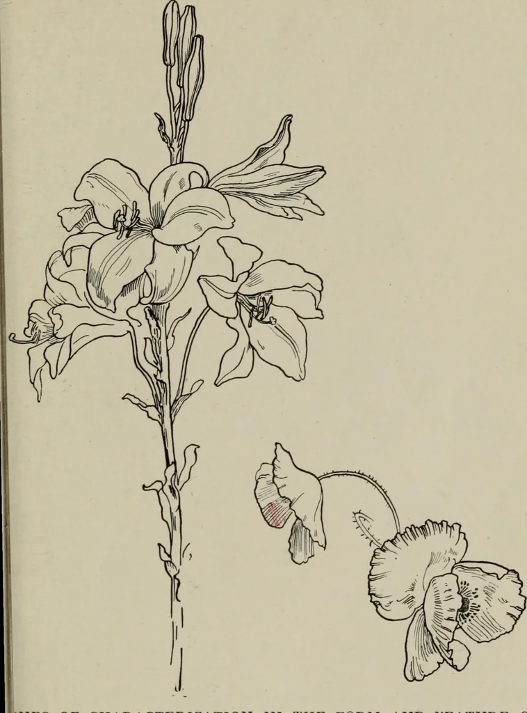 An illustration from Line & form, 1921, leaf 32