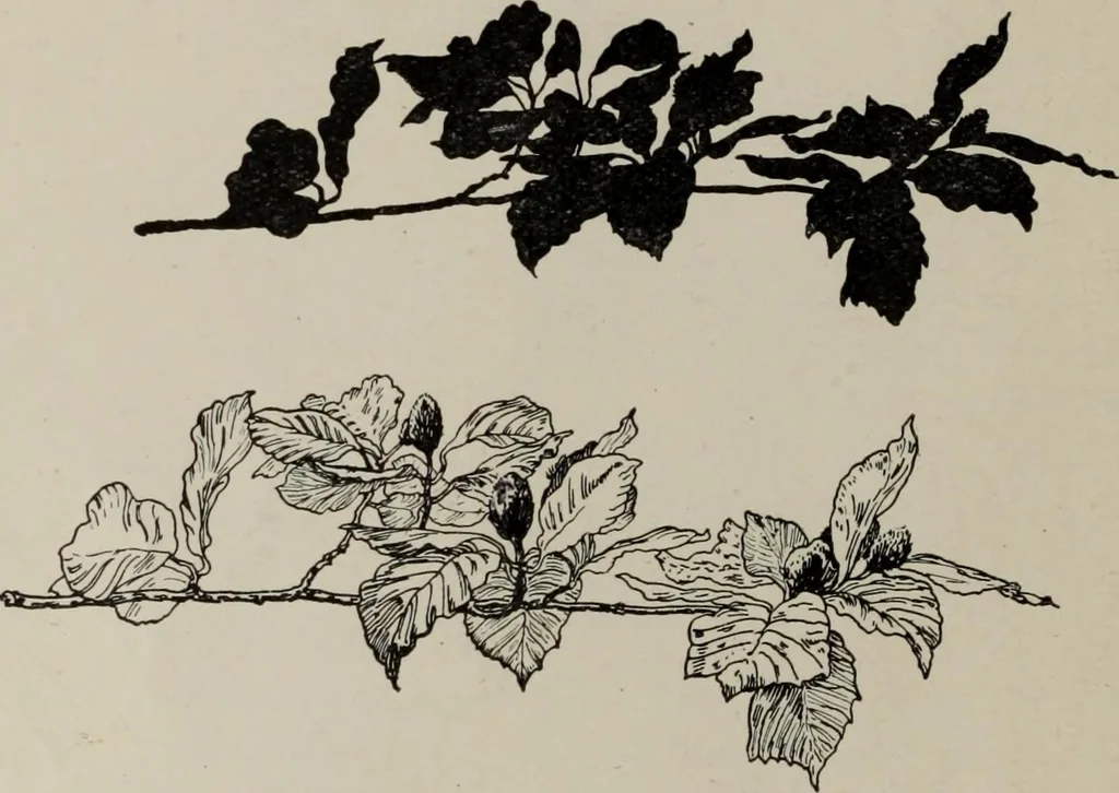 An illustration from Line & form, 1921, leaf 33