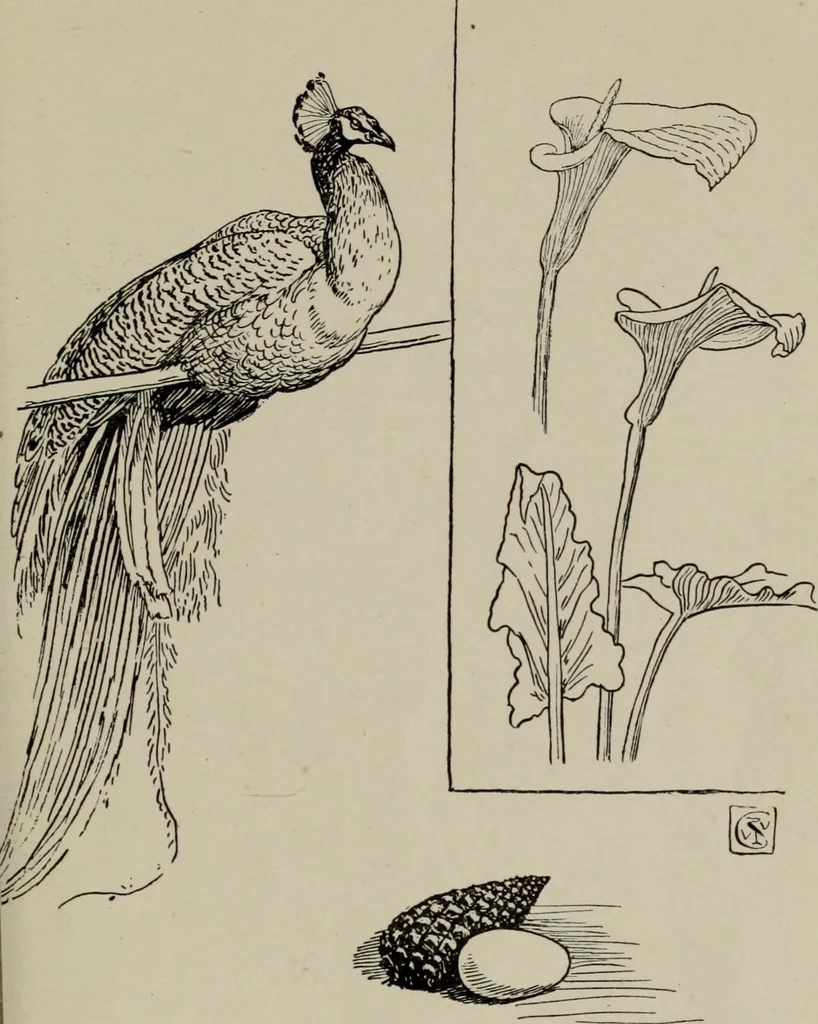 An illustration from Line & form, 1921, leaf 38