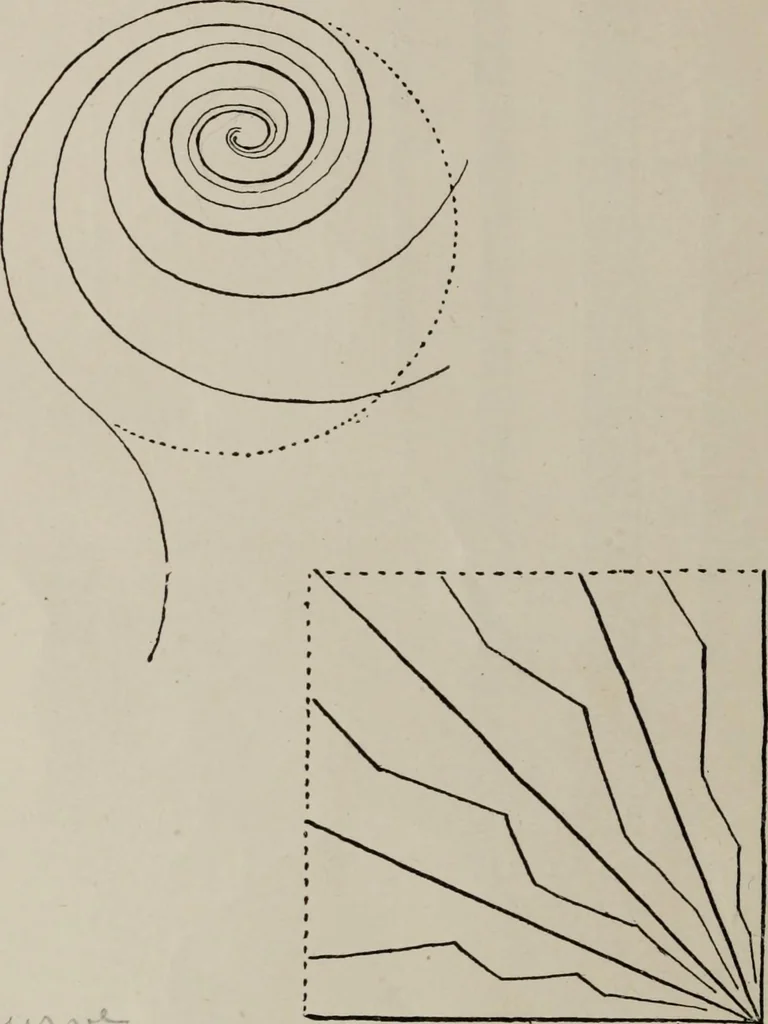 An illustration from Line & form, 1921, leaf 45