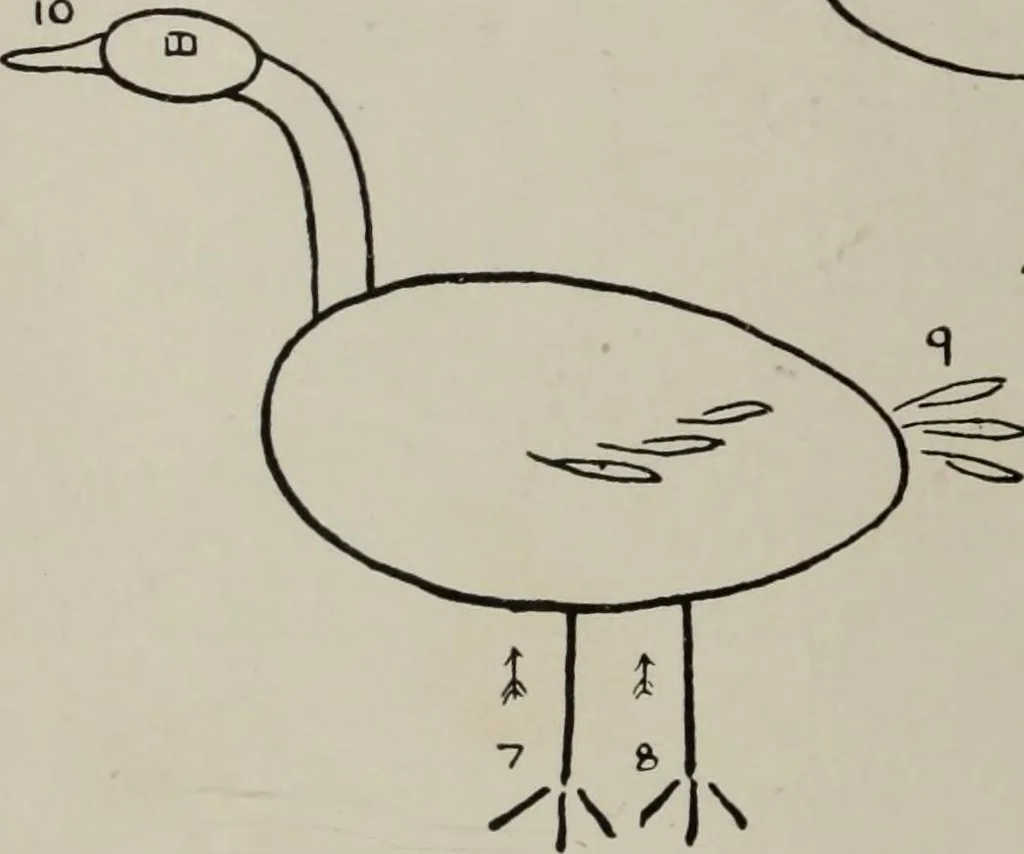 An illustration from Line & form, 1921, leaf 47