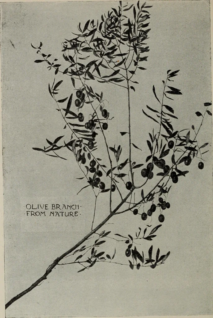 An illustration from Line & form, 1921, leaf 49