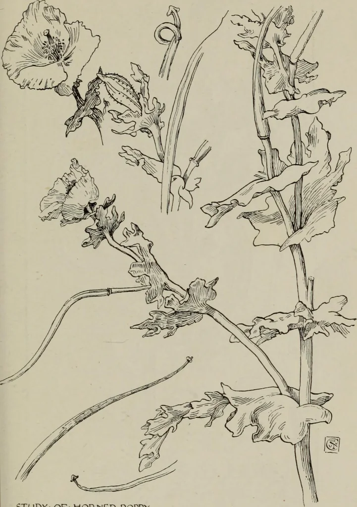 An illustration from Line & form, 1921, leaf 52