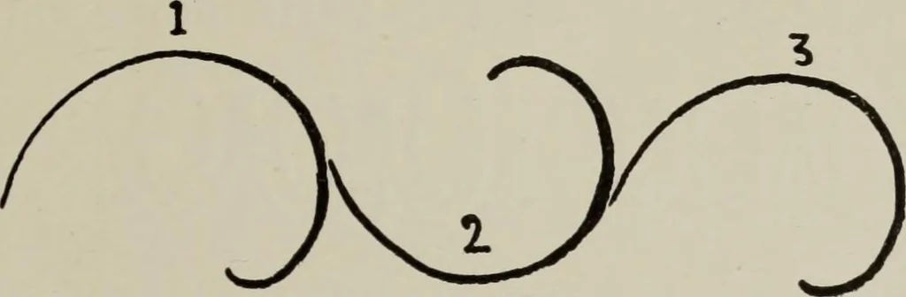 An illustration from Line & form, 1921, leaf 64