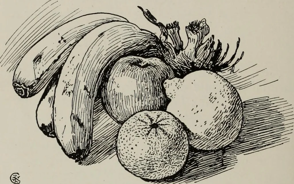 An illustration from Line & form, 1921, leaf 73
