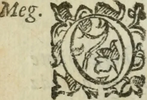 An illustration from L'ingannata Proserpina : opera rappresentatiua, e scenica, 1611, leaf 13