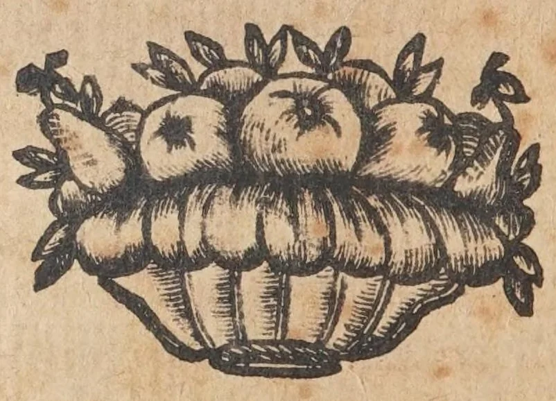An illustration from L'ingannatori ingannati : operetta scenica, 1690, leaf 20
