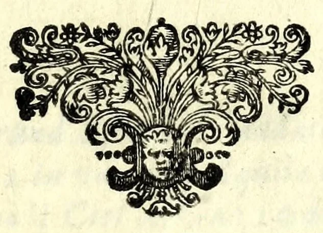 An illustration from L'inganno fortvnato, overo, L'amata aborrita : comedia bellissima, transportata dallo spagnulo : con alcune poesie musicali composte in diuersi tempi, 1659, leaf 5