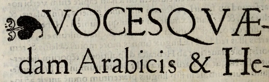 An illustration from Linguarum duodecim characteribus differentium alphabetum, introductio, ac legendi modus longè facilimus : Linguarum nomina sequens proximè pagella offeret, 1538, leaf 142