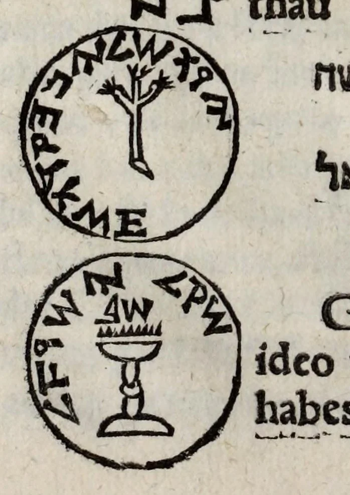 An illustration from Linguarum duodecim characteribus differentium alphabetum, introductio, ac legendi modus longè facilimus : Linguarum nomina sequens proximè pagella offeret, 1538, leaf 28
