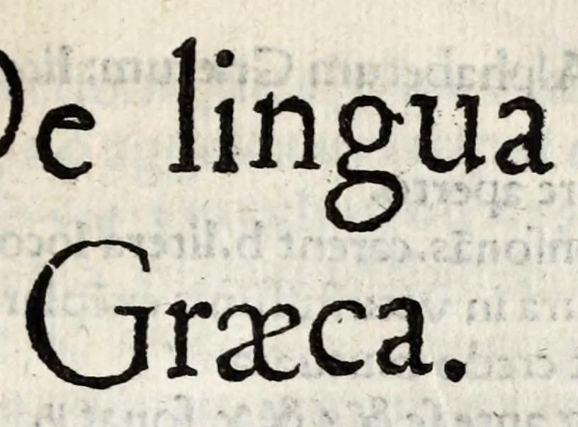 An illustration from Linguarum duodecim characteribus differentium alphabetum, introductio, ac legendi modus longè facilimus : Linguarum nomina sequens proximè pagella offeret, 1538, leaf 79