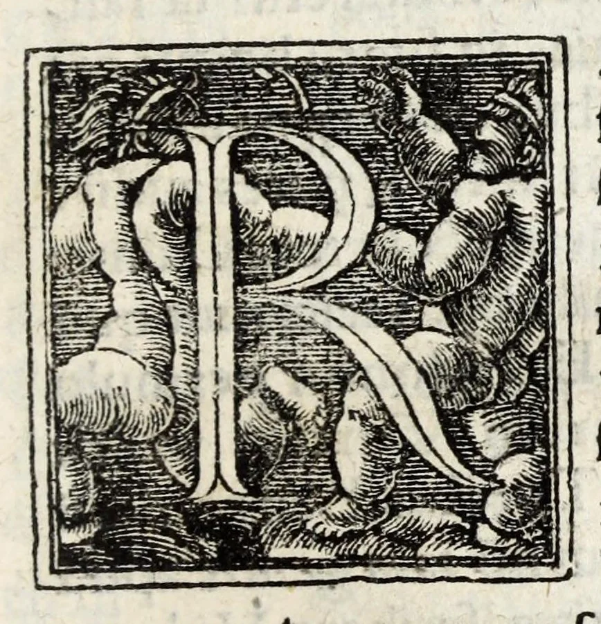 An illustration from Linguarum duodecim characteribus differentium alphabetum, introductio, ac legendi modus longè facilimus : Linguarum nomina sequens proximè pagella offeret, 1538, leaf 91