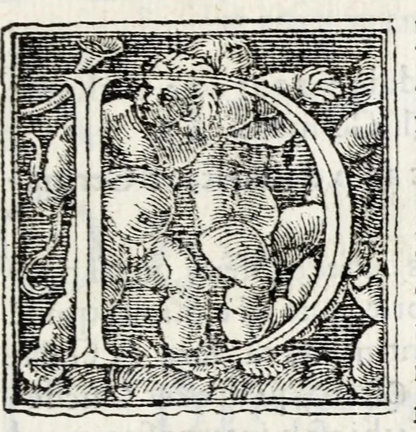 An illustration from Linguarum duodecim characteribus differentium alphabetum, introductio, ac legendi modus longè facilimus : Linguarum nomina sequens proximè pagella offeret, 1538, leaf 99