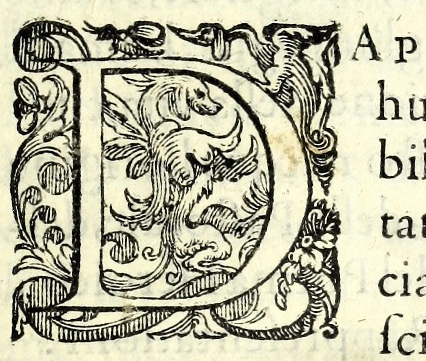 An illustration from L'interesse : comedia, 1581, leaf 17
