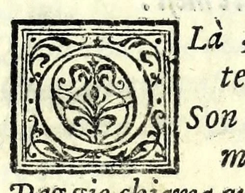 An illustration from L'interesse : comedia, 1581, leaf 55