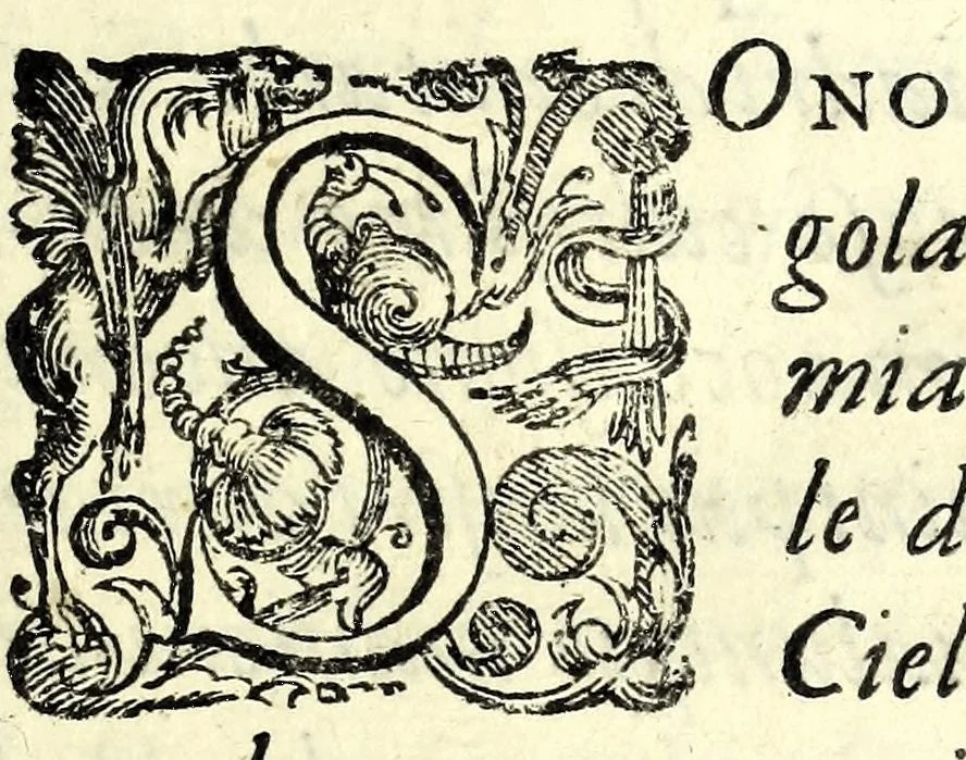 An illustration from L'interesse : comedia, 1581, leaf 9