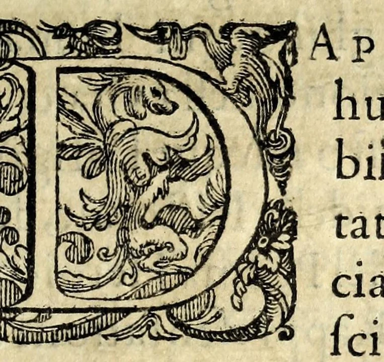 An illustration from L'interesse : comedia, 1581, leaf 13