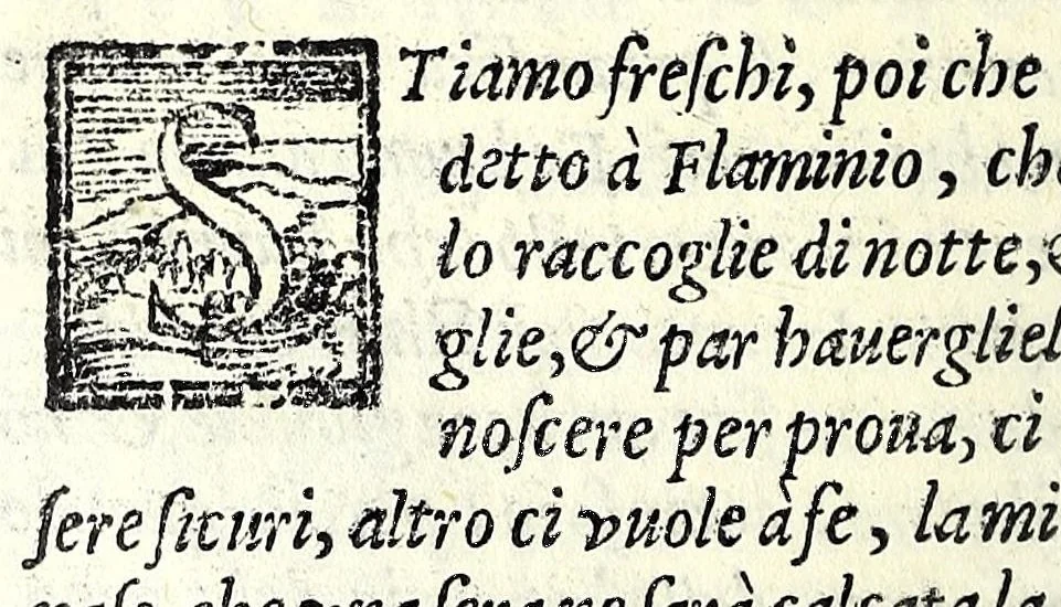 An illustration from L'interesse : comedia, 1581, leaf 26