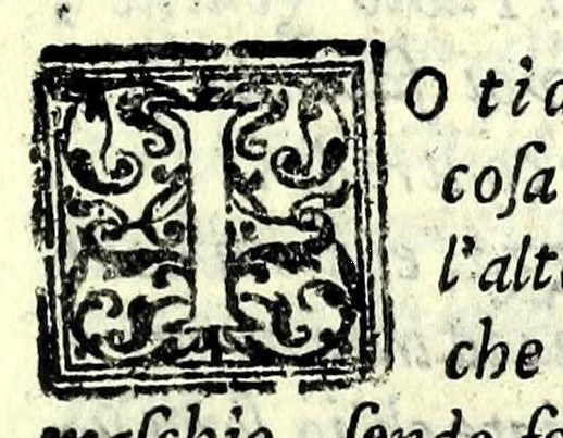 An illustration from L'interesse : comedia, 1581, leaf 31