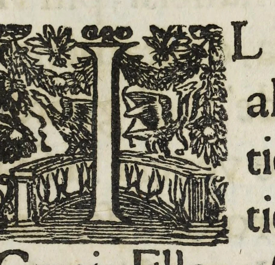 An illustration from L'intreccio d'allori e d' vliuo auuolto alla corona dell' inuittissimo rè di Francia e di Nauarra, Luigi XIV, il grande et il giusto : dedicato alla stessa sacra cristianissima real maestà dall' autore Andrea Penci, 1679, leaf 3