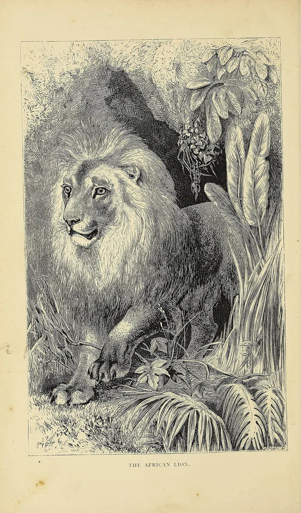 An illustration from The lion and the elephant, 1873, leaf 10