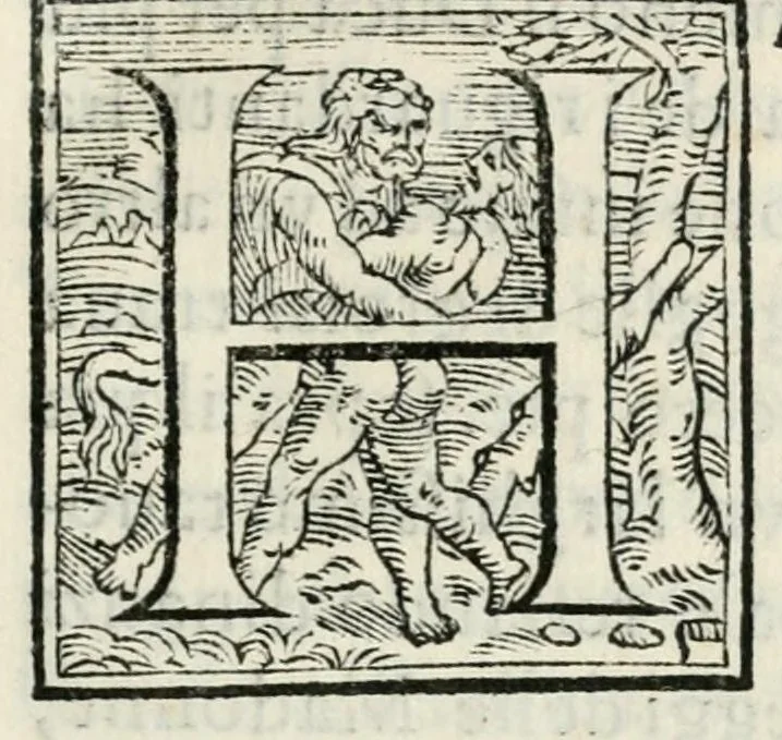 An illustration from L'Isola beata : torneo fatto nella citta di Ferrara per la venvta del serenissimo principe Carlo, arcidvca d'Avstria a XXV di maggio M.D.LXIX, 1569, leaf 9