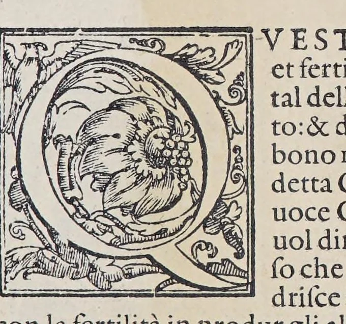 An illustration from L'isole piu famose del mondo, 1572, leaf 107