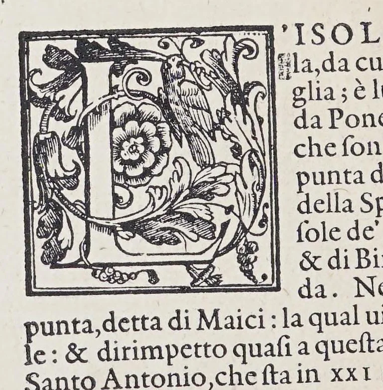 An illustration from L'isole piu famose del mondo, 1572, leaf 116