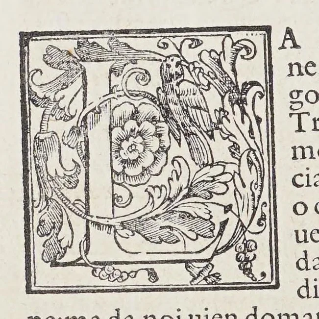 An illustration from L'isole piu famose del mondo, 1572, leaf 40