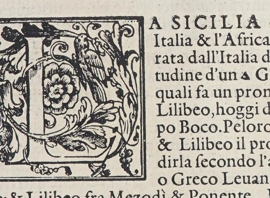 An illustration from L'isole piu famose del mondo, 1572, leaf 65