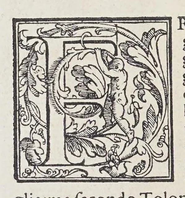 An illustration from L'isole piu famose del mondo, 1572, leaf 78