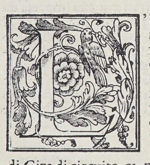 An illustration from L'isole piu famose del mondo, 1572, leaf 85