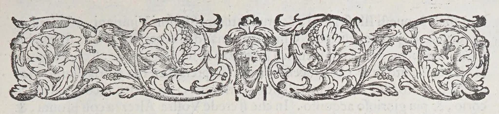 An illustration from L'isole piu famose del mondo, 1572, leaf 9
