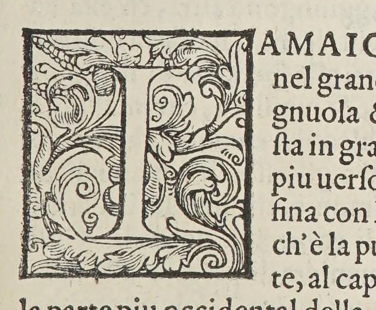 An illustration from L'isole piu famose del mondo, 1576, leaf 209