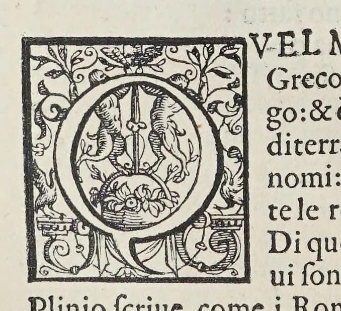 An illustration from L'isole piu famose del mondo, 1576, leaf 106