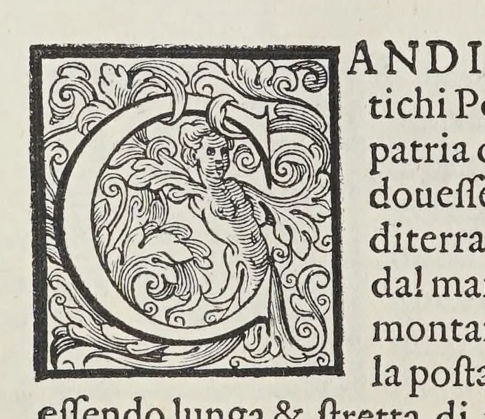 An illustration from L'isole piu famose del mondo, 1576, leaf 140