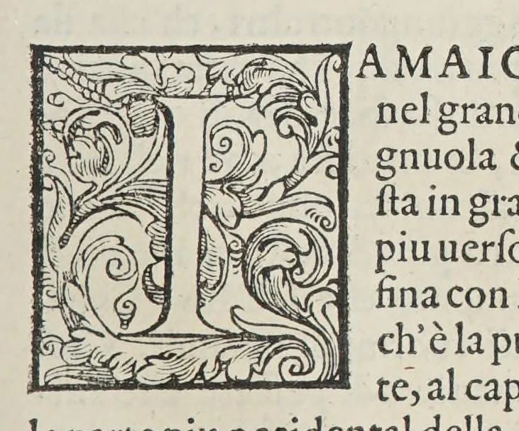 An illustration from L'isole piu famose del mondo, 1576, leaf 207
