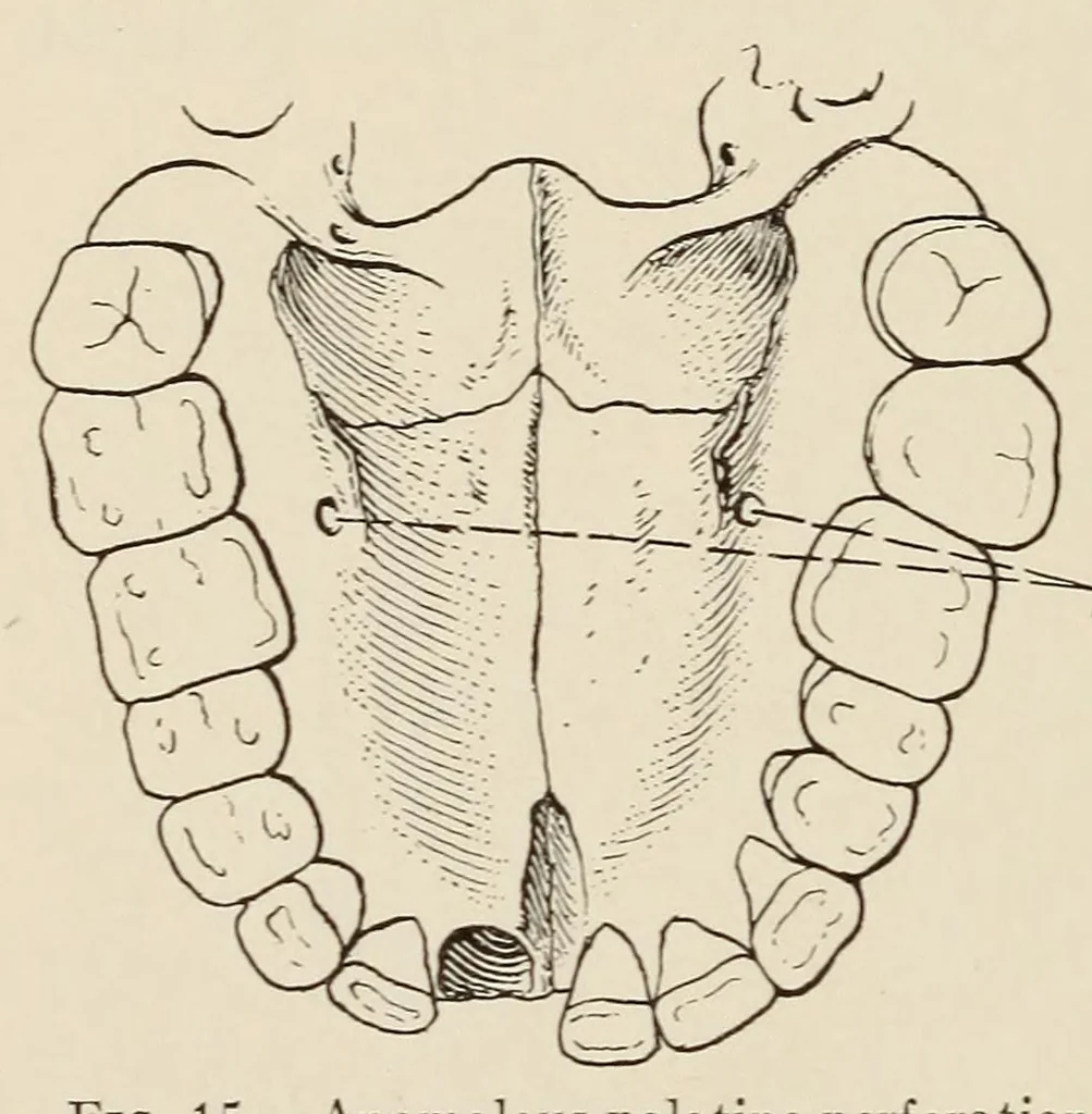 An illustration from List of publications of the Museum of the American Indian : Heye foundation, 1924, leaf 374