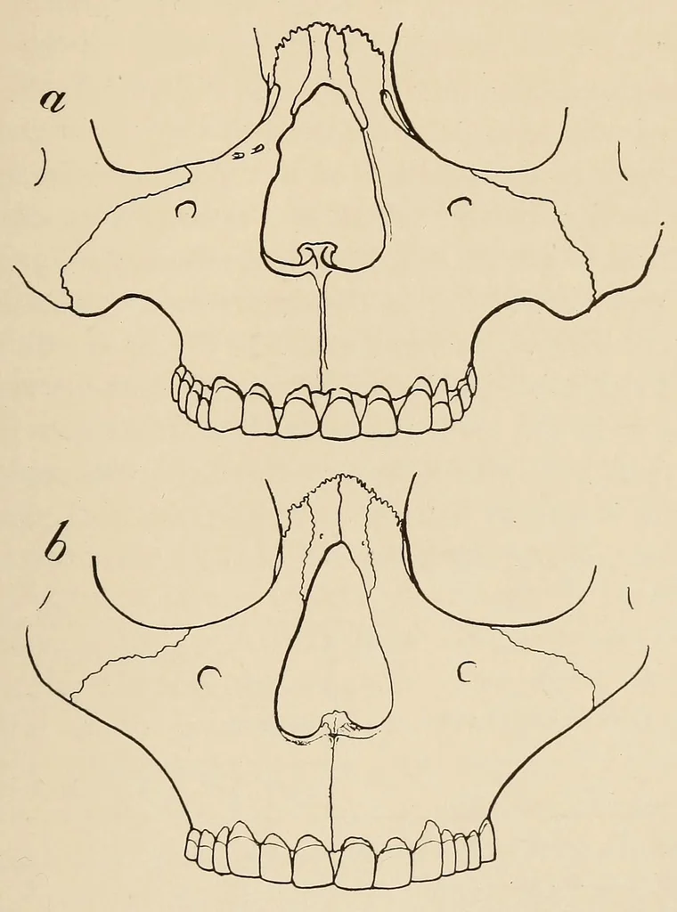An illustration from List of publications of the Museum of the American Indian : Heye foundation, 1924, leaf 405