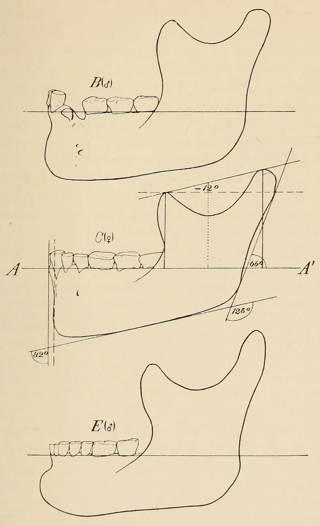An illustration from List of publications of the Museum of the American Indian : Heye foundation, 1924, leaf 429