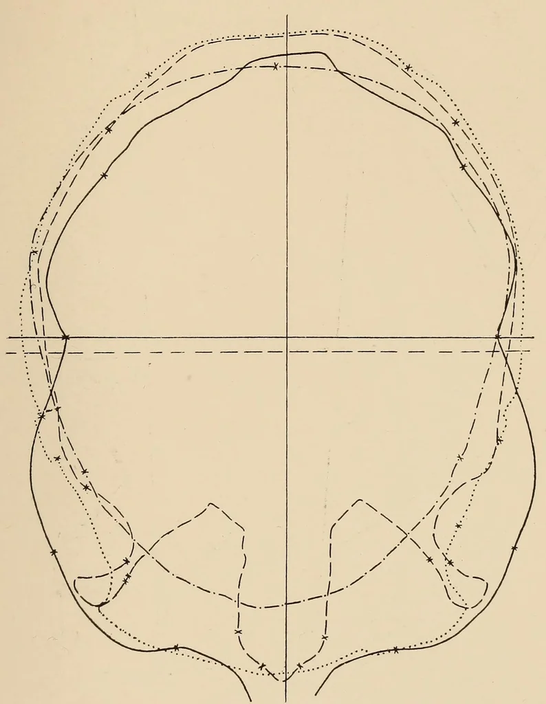 An illustration from List of publications of the Museum of the American Indian : Heye foundation, 1924, leaf 473