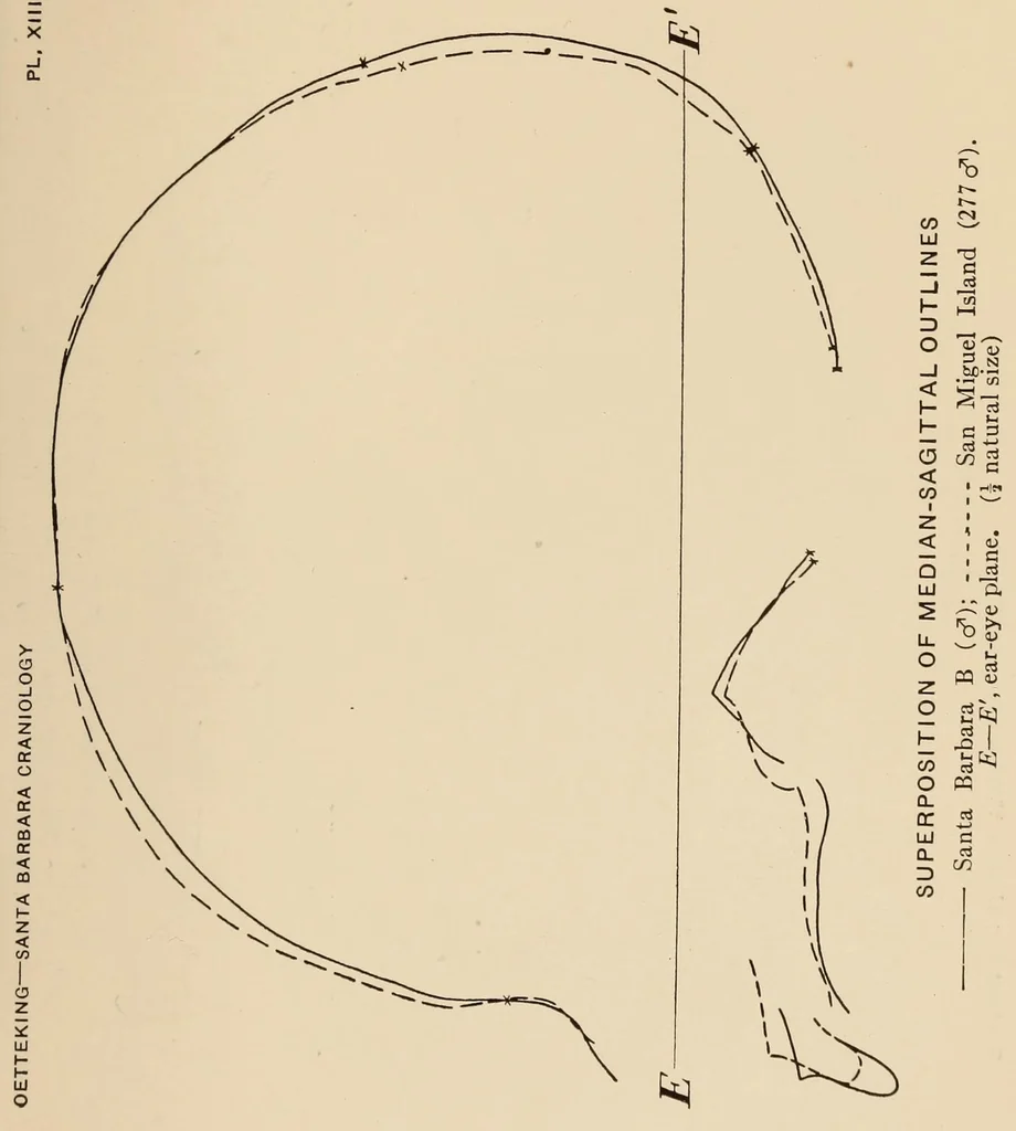 An illustration from List of publications of the Museum of the American Indian : Heye foundation, 1924, leaf 477