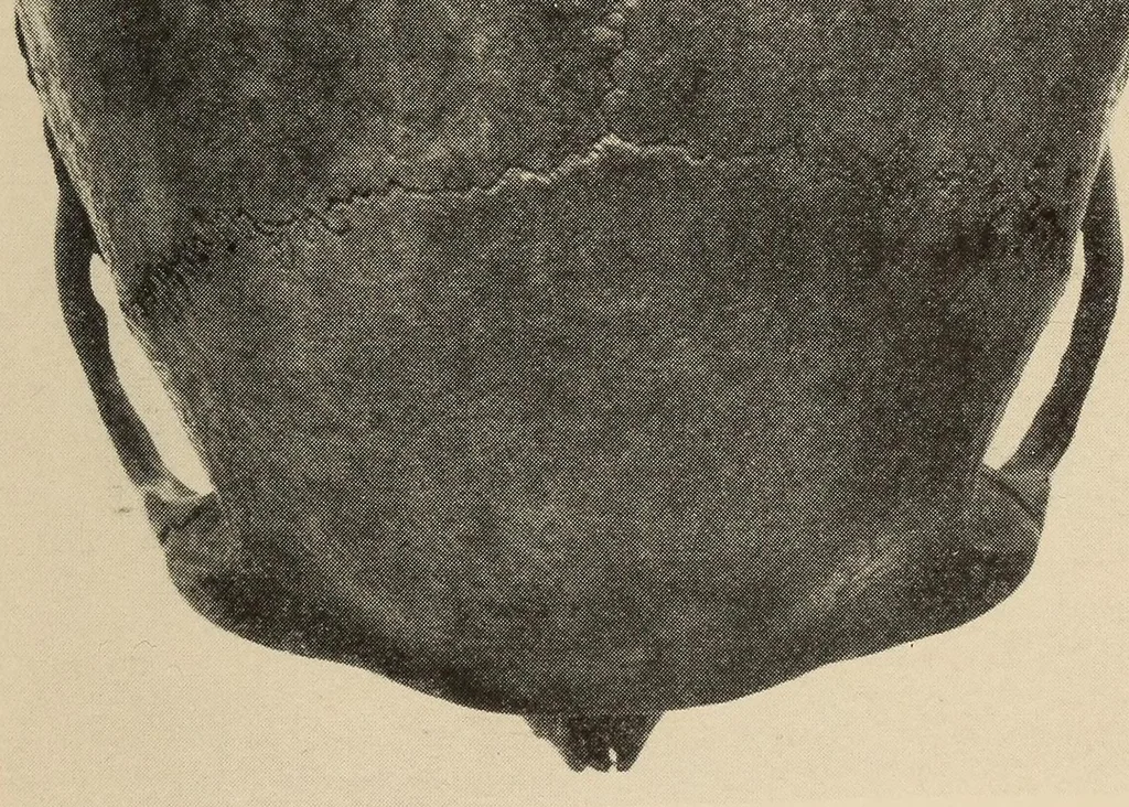 An illustration from List of publications of the Museum of the American Indian : Heye foundation, 1924, leaf 487