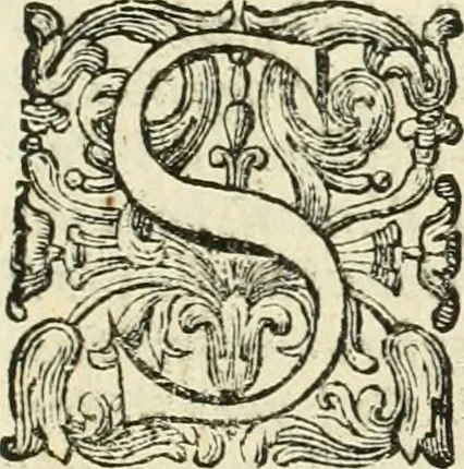 An illustration from L'istoria della Chiesa di S. Giovanni avanti Porta Latina, titolo cardinalizio, 1716, leaf 410