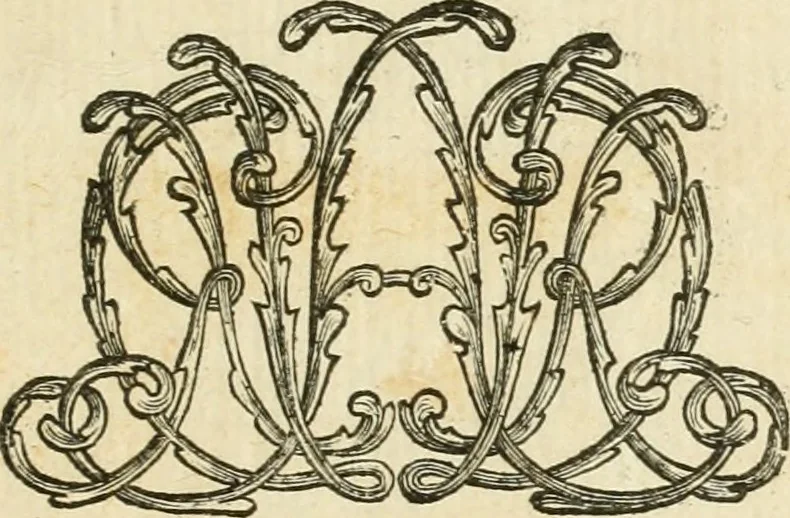 An illustration from L'istoria della Chiesa di S. Giovanni avanti Porta Latina, titolo cardinalizio, 1716, leaf 474